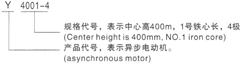 西安泰富西玛Y系列(H355-1000)高压YKS5602-6/1250KW三相异步电机型号说明