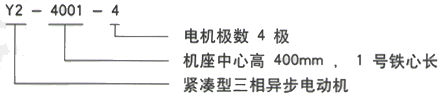 YR系列(H355-1000)高压YKS5602-6/1250KW三相异步电机西安西玛电机型号说明